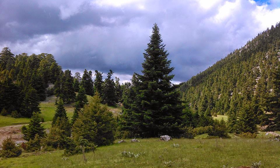 Alexander Resort Arachova Bagian luar foto