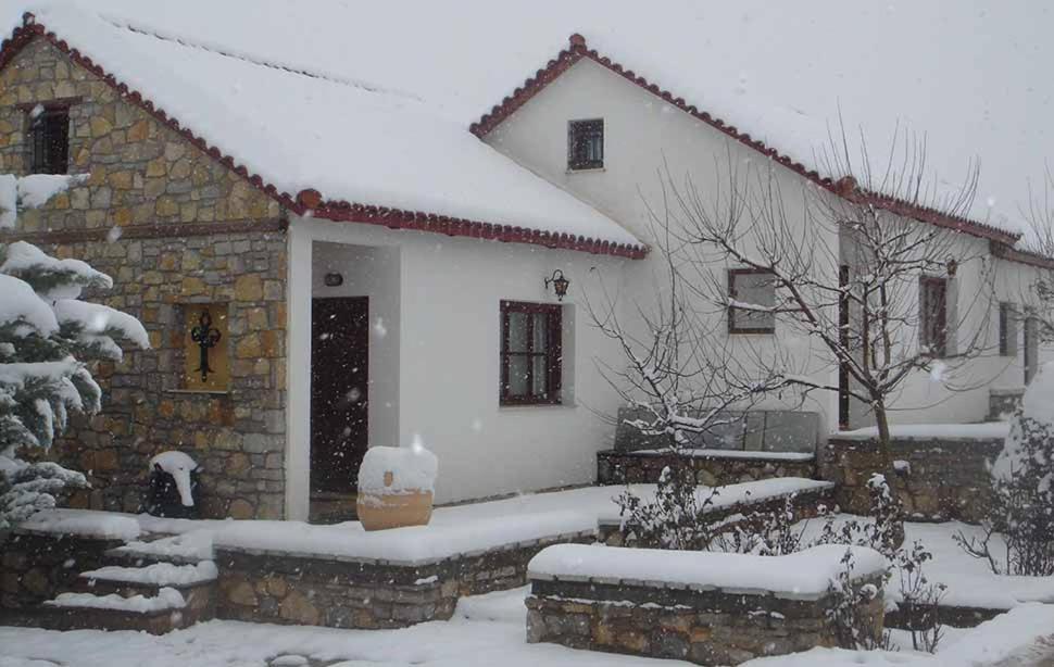 Alexander Resort Arachova Bagian luar foto